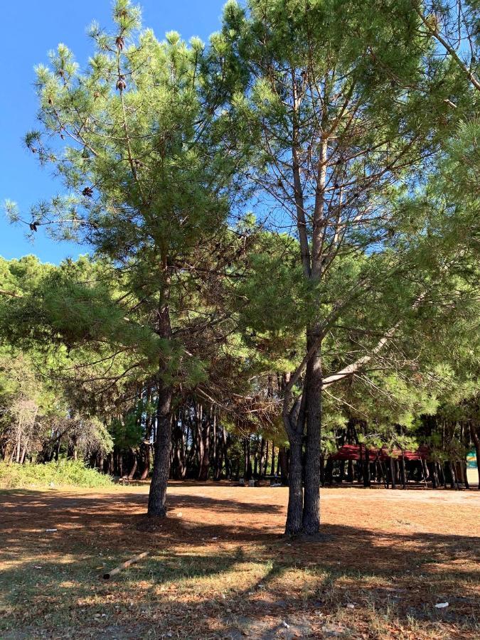 פיזונדה Mini Hotel Amra מראה חיצוני תמונה